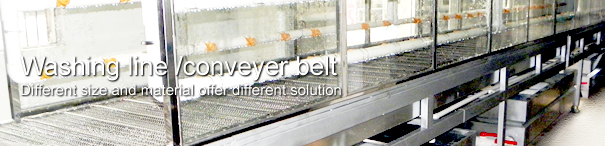 Fashioncolor water transfer Washing line /conveyer belt