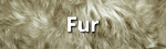Fur